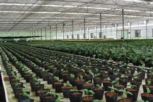 方圆农业观光园